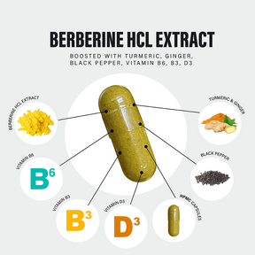 Berberine HCL Extract