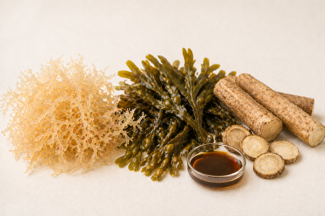 Irish Sea Moss Complex - A Natural Superfood