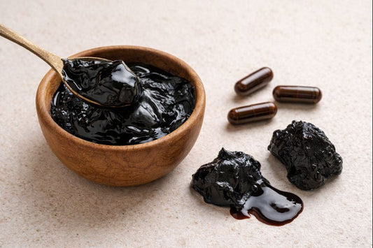 The Health Benefits of Shilajit