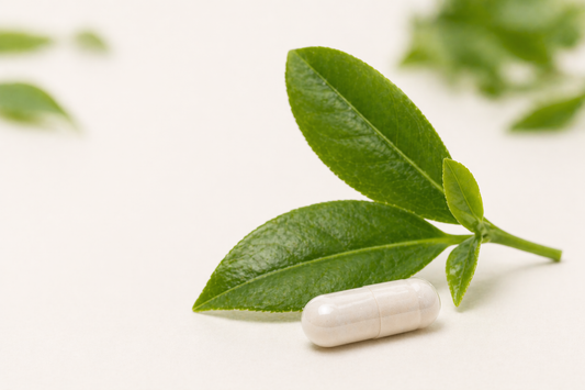 What Is L-Theanine? Benefits, Uses and What It Actually Does