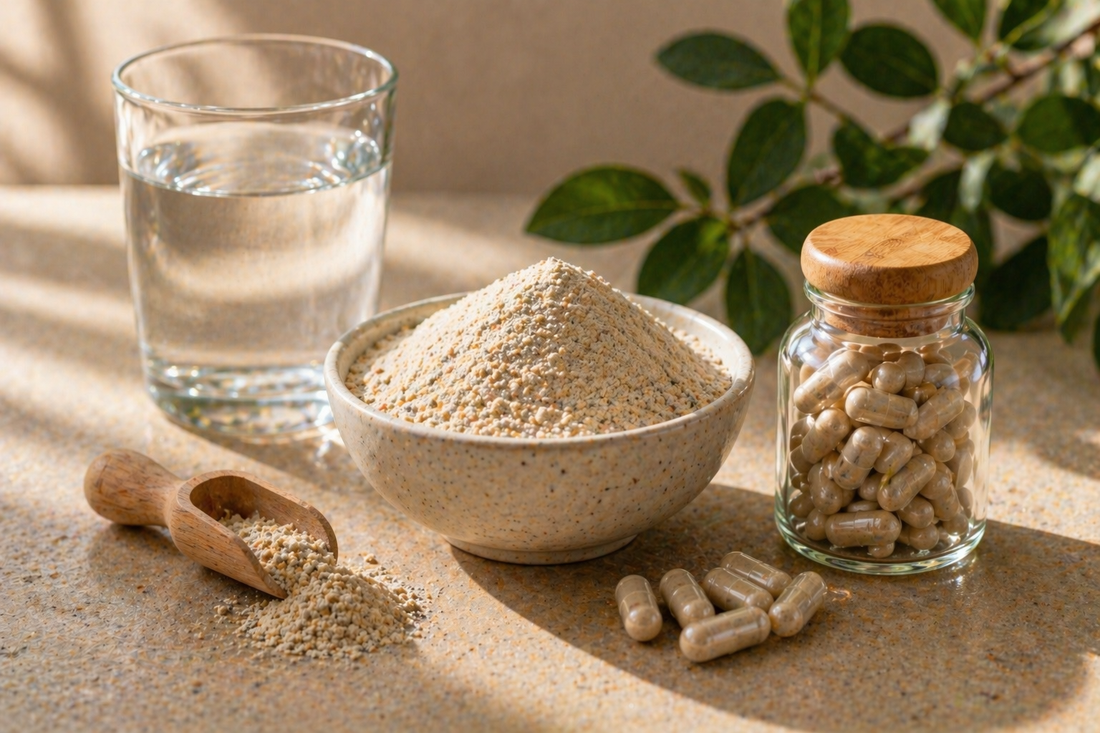 Best Gut Health Supplements UK: What Actually Works?