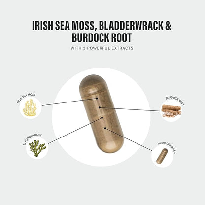 High Strength Irish Sea Moss Complex +  Bladderwrack & Burdock Root Extracts